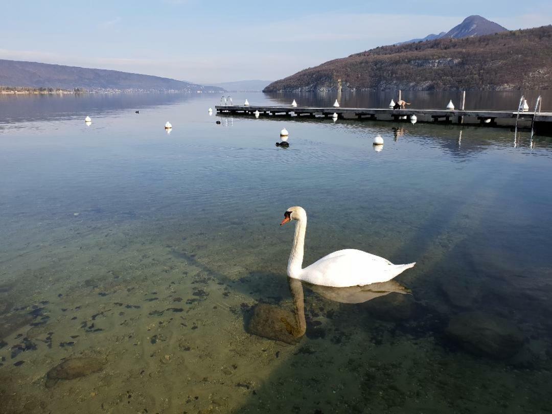 La Baie Des Voiles 3 Chambres 4 A 6 Personnes Au Bord Du Lac Plage Privee Duingt Dış mekan fotoğraf